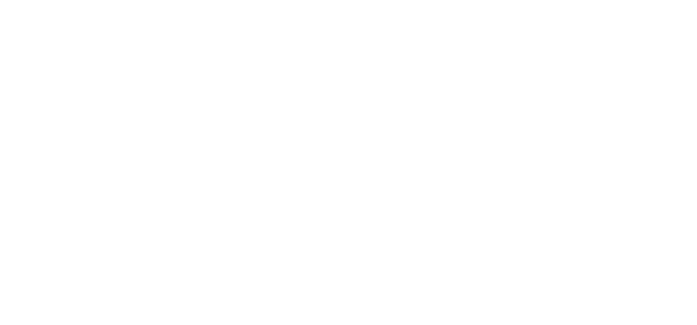 Filiz Kurs